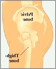 Sidevisning av høyre hofte