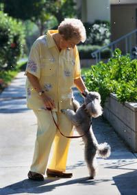 Bilde av en eldre kvinne som spaserer sin hund
