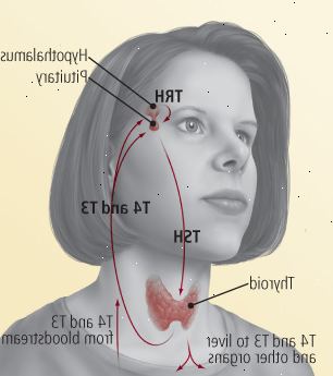 Normal thyroid
