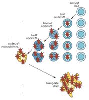 Genetisk illustrasjon demonstrere celle mutasjon