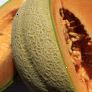 Meloner